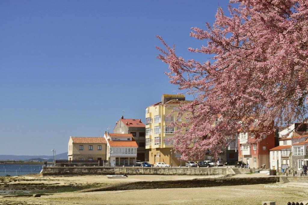 A Esmorga-Posada Del Mar บิลาการ์เซีย เด อาโรว์ซา ภายนอก รูปภาพ